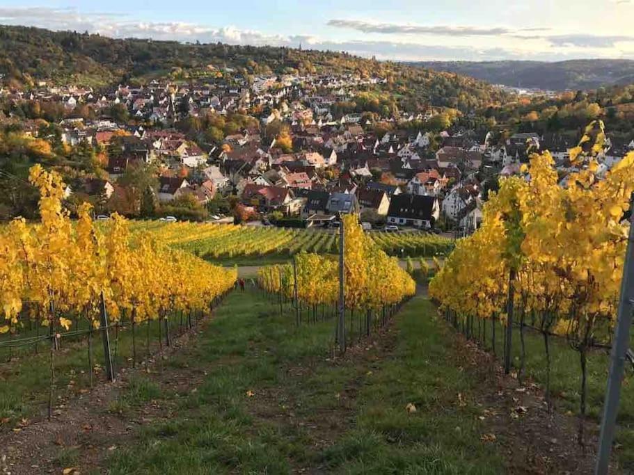 3 Zimmer Neubauwohnung In Der Schwaebischen Toskana Löwenstein Esterno foto