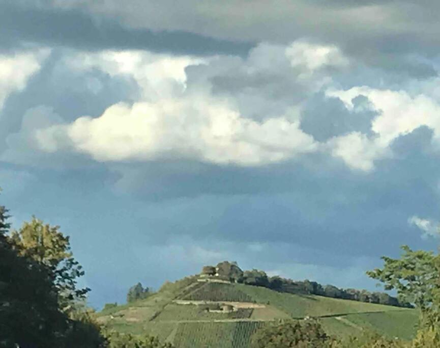 3 Zimmer Neubauwohnung In Der Schwaebischen Toskana Löwenstein Esterno foto